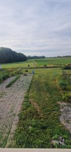 a field with a dirt road in the middle at L'étape champenoise appartement in Bouy