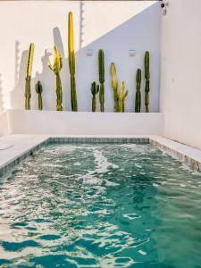 ein Pool mit Kaktus im Hintergrund in der Unterkunft Casa Piscina Aquecida Canto Del Mare in São Sebastião