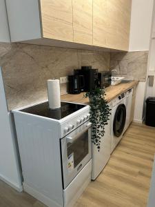 a kitchen with a stove and a washing machine at Ferienwohnung in Center of Hamburg-Barmbek-Airport-4 in Hamburg