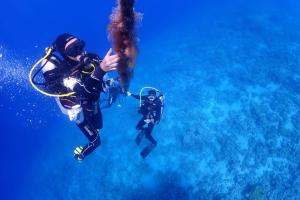 two people are scuba diving in the ocean at Bait Alaqaba dive center & resort in Aqaba