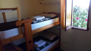 two bunk beds in a room with a window at Hostel Aves del Lago in El Calafate