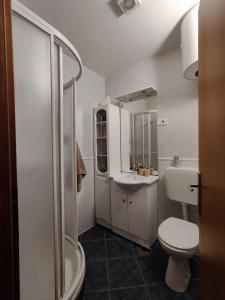 Baño blanco con aseo y lavamanos en Madora - Studio Apartman, en Fužine