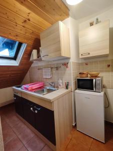 una pequeña cocina con fregadero y microondas en Madora - Studio Apartman en Fužine