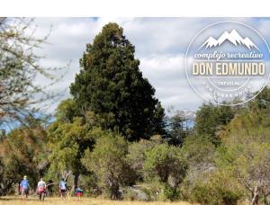 Eine Gruppe von Menschen, die auf einem Feld mit einem Baum Fahrrad fahren in der Unterkunft Don Edmundo Trevelin in Trevelín
