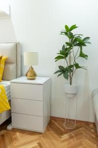 - une commode blanche avec une plante dans la chambre dans l'établissement Stan na dan Golden apartman, à Zaječar