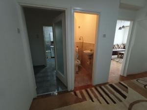 a bathroom with a toilet and a sink at Apartmani Vesna in Banja Luka