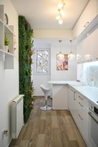 Кухня або міні-кухня у Stan na dan Golden apartman