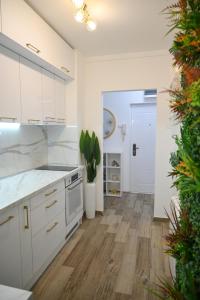 Кухня або міні-кухня у Stan na dan Golden apartman