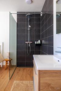 W łazience znajduje się prysznic i umywalka. w obiekcie L'Ardenne de Fidéline w mieście Tenneville