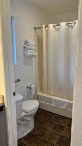 a bathroom with a toilet and a shower at Pine Cone Motel in Willits +22 photos
