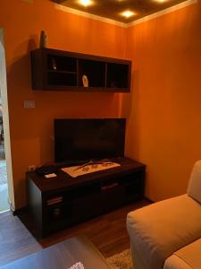ein Wohnzimmer mit einem TV und einem Sofa in der Unterkunft Nena in Veliko Gradište