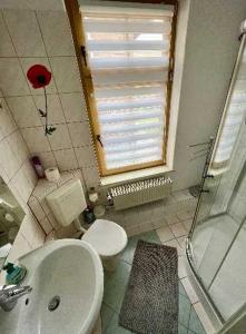 ザスニッツにあるFerienwohnungen Ottoのバスルーム(トイレ、洗面台、シャワー付)