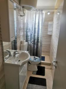 uma casa de banho com um lavatório, um WC e um chuveiro em Apartmani Betina - Petra Preradovića 2K em Betina