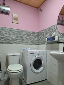 a bathroom with a toilet and a washing machine at Casa Justa in Castrelo de Miño