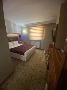 pokój hotelowy z łóżkiem i oknem w obiekcie Demosan Hotel w mieście Karaman