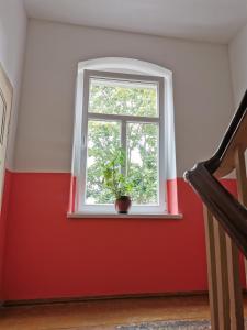 een raam met een plant in een rode kamer bij Studio Isabel Cieplice in Jelenia Góra