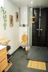 ein Bad mit einem WC und einer Glasdusche in der Unterkunft Love room Cocon Sri-Yani sauna jacuzzi in Esmans