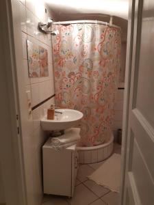 a bathroom with a shower curtain and a sink at Apartment mit 1 Schlafzimmer in Altstadthaus in Sankt Veit an der Glan