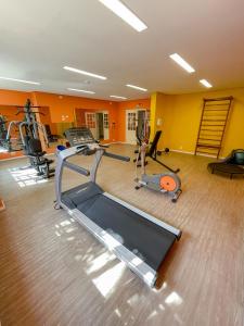Fitness centrum a/nebo fitness zařízení v ubytování Hotel Cordialle