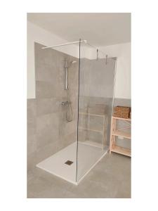 a shower with a glass door in a bathroom at Affittacamere Al Vicolo in San Bernardo