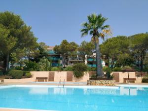 une piscine avec un palmier dans un parc dans l'établissement Appartement Saint Raphaël: rez de Jardin, 2 chambres, piscines, à Saint-Raphaël
