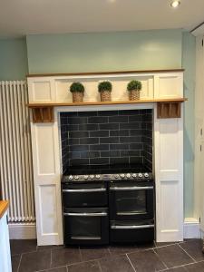 a black fireplace with potted plants on top of it at Sugar Plum Cottage in Conisbrough