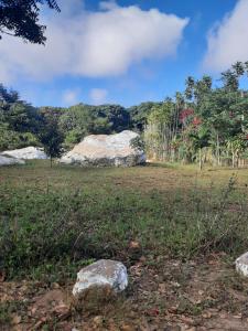 a field with two large rocks in the grass at Valle dos ipês in Tianguá