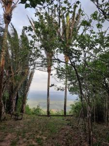 a bench sitting on top of a hill with trees at Valle dos ipês in Tianguá