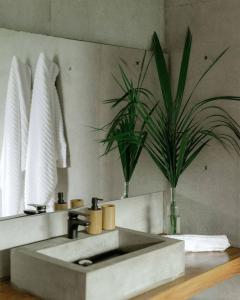 a bathroom with a sink with a plant in it at Casa Altanera in Recado