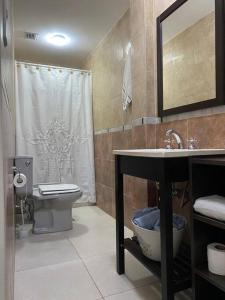 e bagno con lavandino, servizi igienici e doccia. di Casa 3 ambientes a Buenos Aires