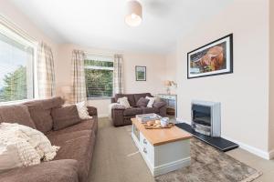 a living room with a couch and a fireplace at Colt Park Cottage in Ulverston