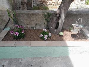 a garden with flowers and a tree and a bird bath at Tullia -intera casa- in Giuliano Teatino