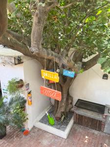 Κήπος έξω από το Ocean Lovers Hostel & Apartments