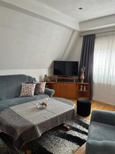 - un salon avec un canapé et une télévision dans l'établissement Pet Apartment, à Strumica