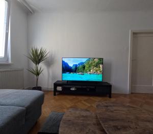 Televízia a/alebo spoločenská miestnosť v ubytovaní Vienna: Cozy 2-Room Apt. (U3 - Schweglerstrasse)