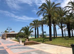 トレモリノスにあるApartamento en La Carihuela (Torremolinos)の浜辺の公園内のヤシ並木