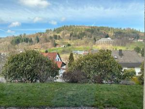 a group of houses in a field with trees at Green hills holiday house in Warmensteinach