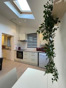 a kitchen with white cabinets and a plant at Modern 3 Bedroom House, Free Parking in Oxford in Oxford