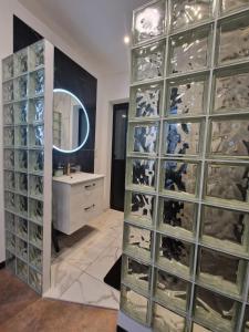 La salle de bains est pourvue d'un grand placard en verre avec un lavabo. dans l'établissement Suite GOLD Mulhouse, à Mulhouse