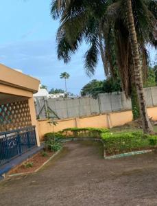 a house with a palm tree next to a driveway at VILLA ÉMERAUDE in Yaoundé