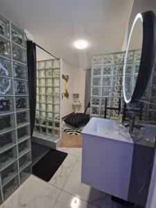 La salle de bains est pourvue d'un lavabo et d'un miroir. dans l'établissement Suite GOLD Mulhouse, à Mulhouse