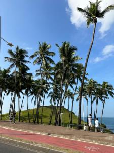 eine Reihe von Palmen auf einer Straße mit Blick auf das Meer in der Unterkunft Kitnet 6 pessoas na Barra in Salvador