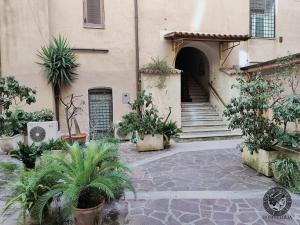 an entrance to a building with potted plants at Domus Iulia - Colosseo in Rome