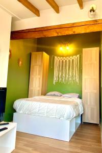 ein Schlafzimmer mit einem Bett mit einer grünen Wand in der Unterkunft Rétro chic au coeur de Villeurbanne in Villeurbanne