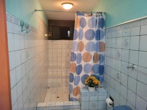 a bathroom with a shower with a shower curtain at Amplio y lindo departamento. in Arequipa