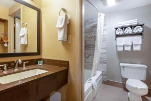 a bathroom with a toilet and a sink and a shower at Best Western Summit Inn in Niagara Falls
