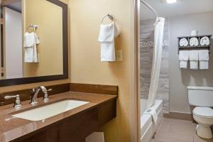 a bathroom with a sink and a toilet and a shower at Best Western Summit Inn in Niagara Falls