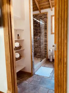 a bathroom with a shower and a walk in closet at Utila Water Sports Deluxe Apt in Utila