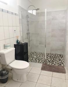 a bathroom with a toilet and a shower at Jireh-plénitude in Fort-de-France