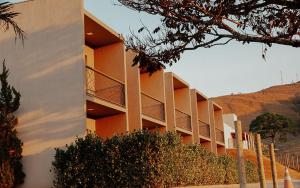 卡皮托利乌Pousada Quinta dos Cabeças的一座橙色的建筑,前面有灌木丛